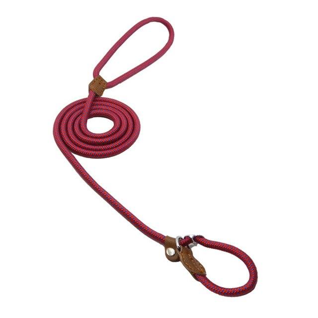 Set de Collar, Pechera y Correa de Nylon para Perro