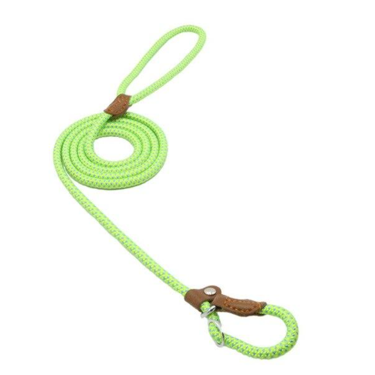 Set de Collar, Pechera y Correa de Nylon para Perro