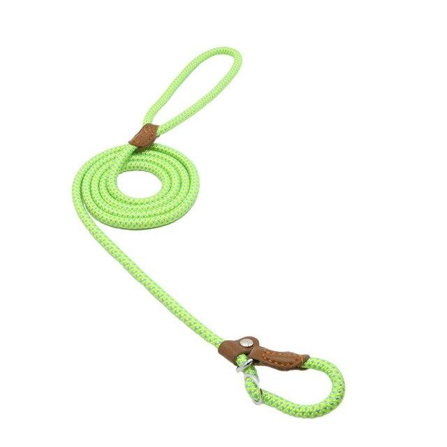 Set de Collar, Pechera y Correa de Nylon para Perro