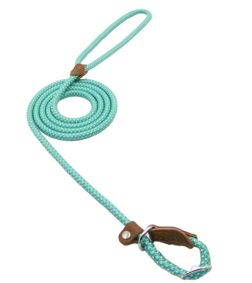 Set de Collar, Pechera y Correa de Nylon para Perro