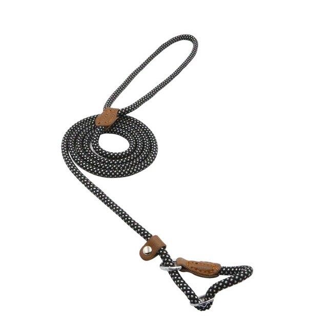 Set de Collar, Pechera y Correa de Nylon para Perro