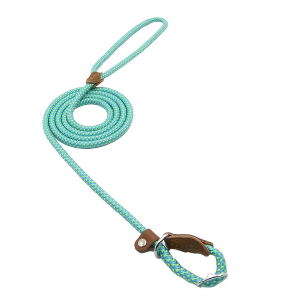Set de Collar, Pechera y Correa de Nylon para Perro