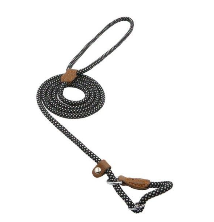 Set de Collar, Pechera y Correa de Nylon para Perro