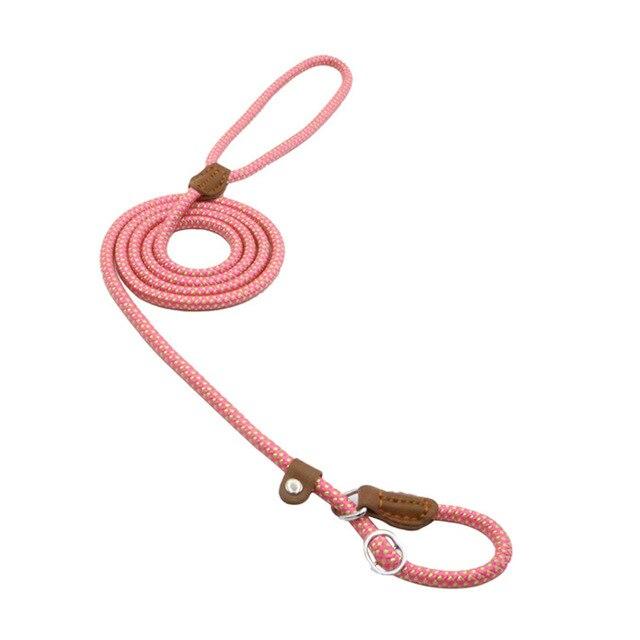 Set de Collar, Pechera y Correa de Nylon para Perro