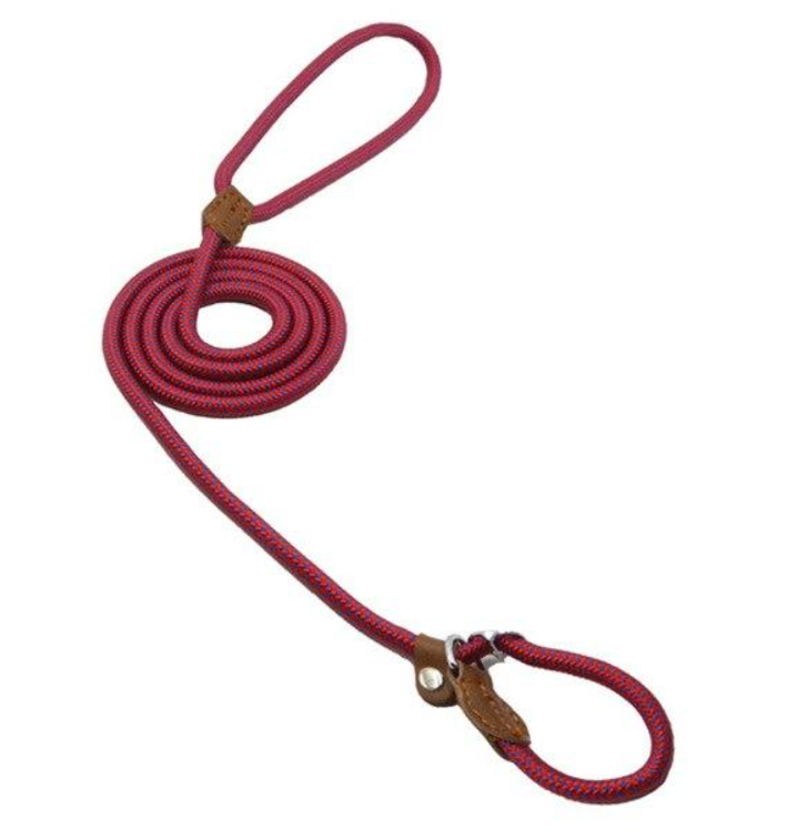 Set de Collar, Pechera y Correa de Nylon para Perro