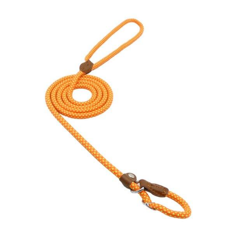 Set de Collar, Pechera y Correa de Nylon para Perro