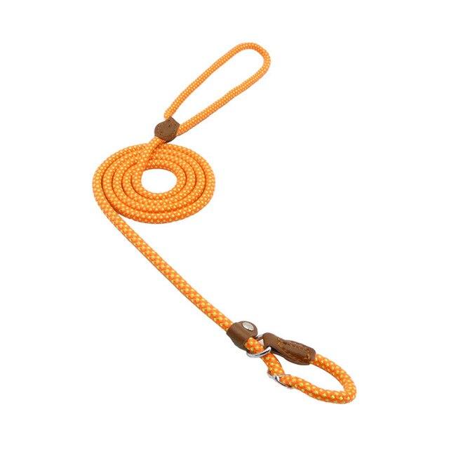 Set de Collar, Pechera y Correa de Nylon para Perro
