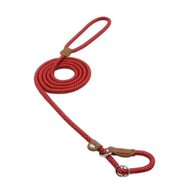Set de Collar, Pechera y Correa de Nylon para Perro